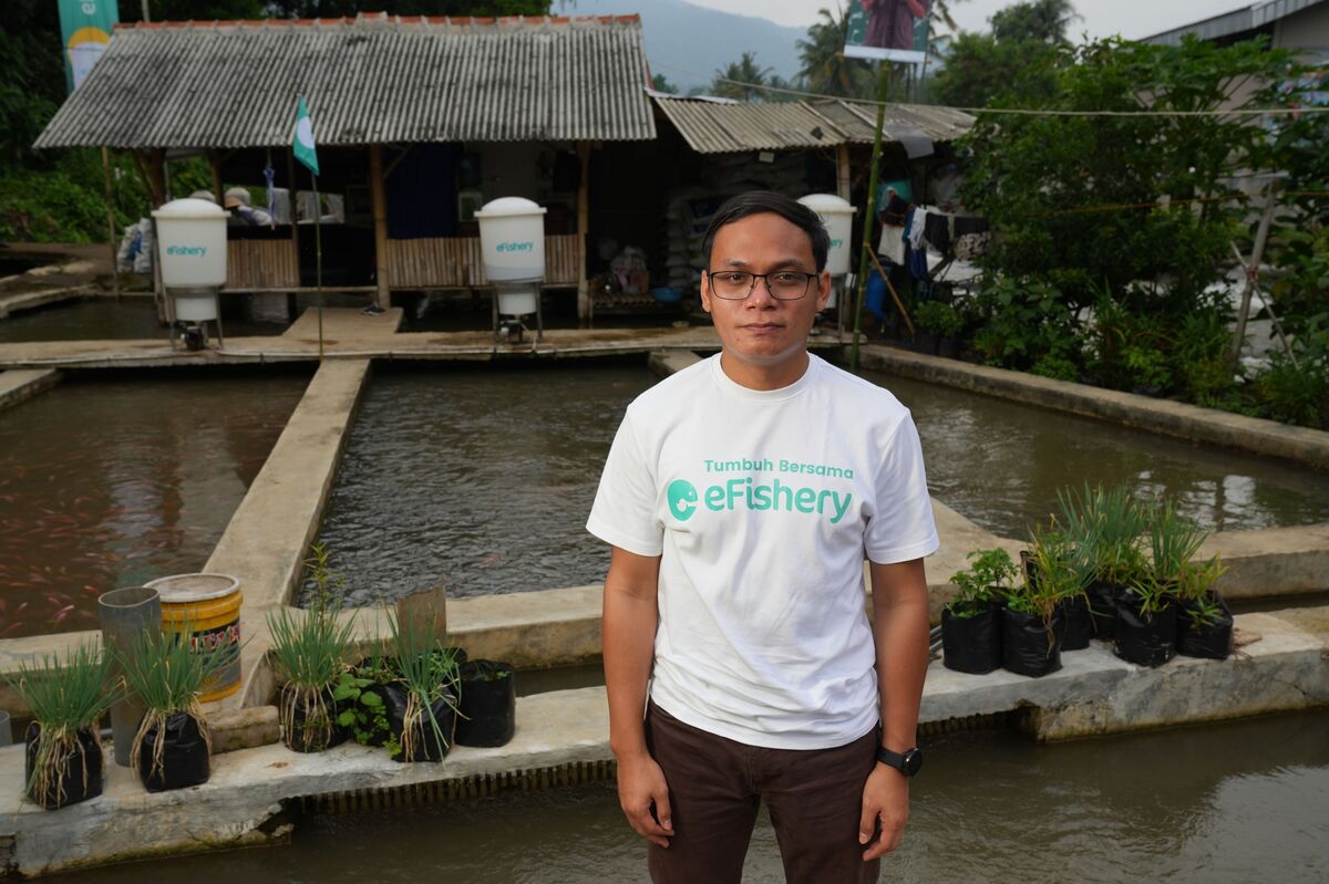 Founder jailed for nine years in 300 million efish