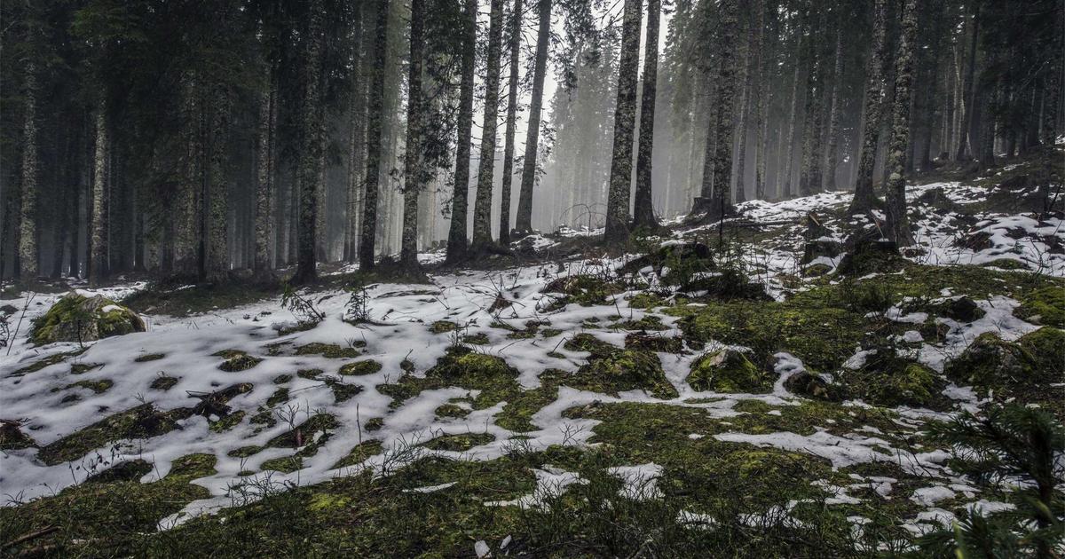 Industry News: Building a Fast Multilingual OCR Model with Synthetic Data