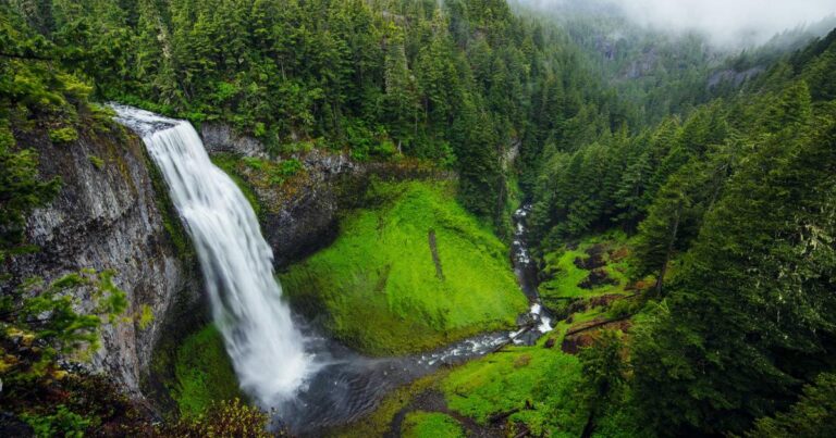 OpenAI models, Codex, and Managed Agents come to AWS