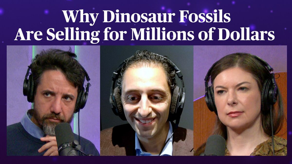 Inside the booming market for dinosaur fossils odd