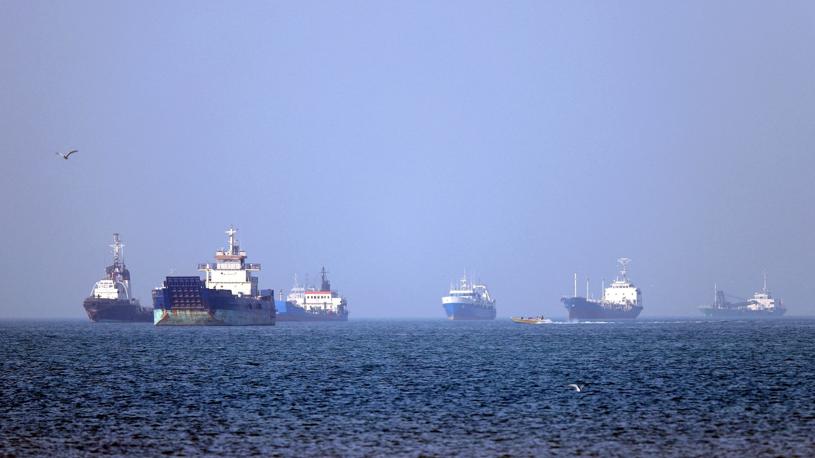 Trump Pauses ‘Project Freedom’ in Strait of Hormuz