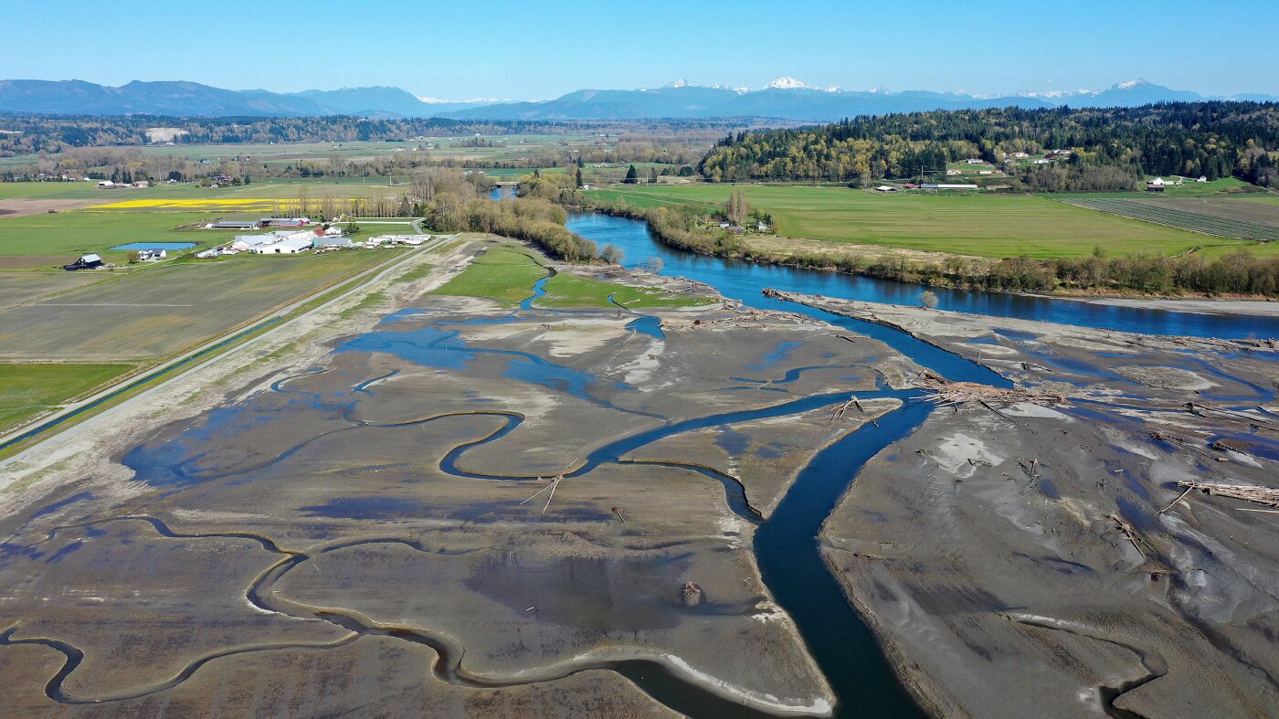 Stillaguamish Tribe Restores Wetlands to Aid Salmon Recovery