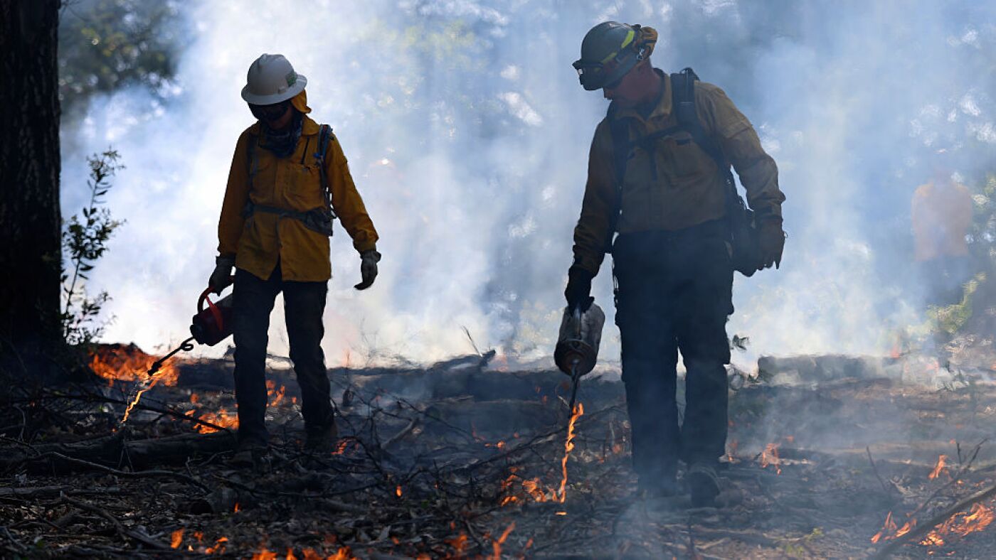 Trump Administration Faces Criticism Over Wildfire Prevention